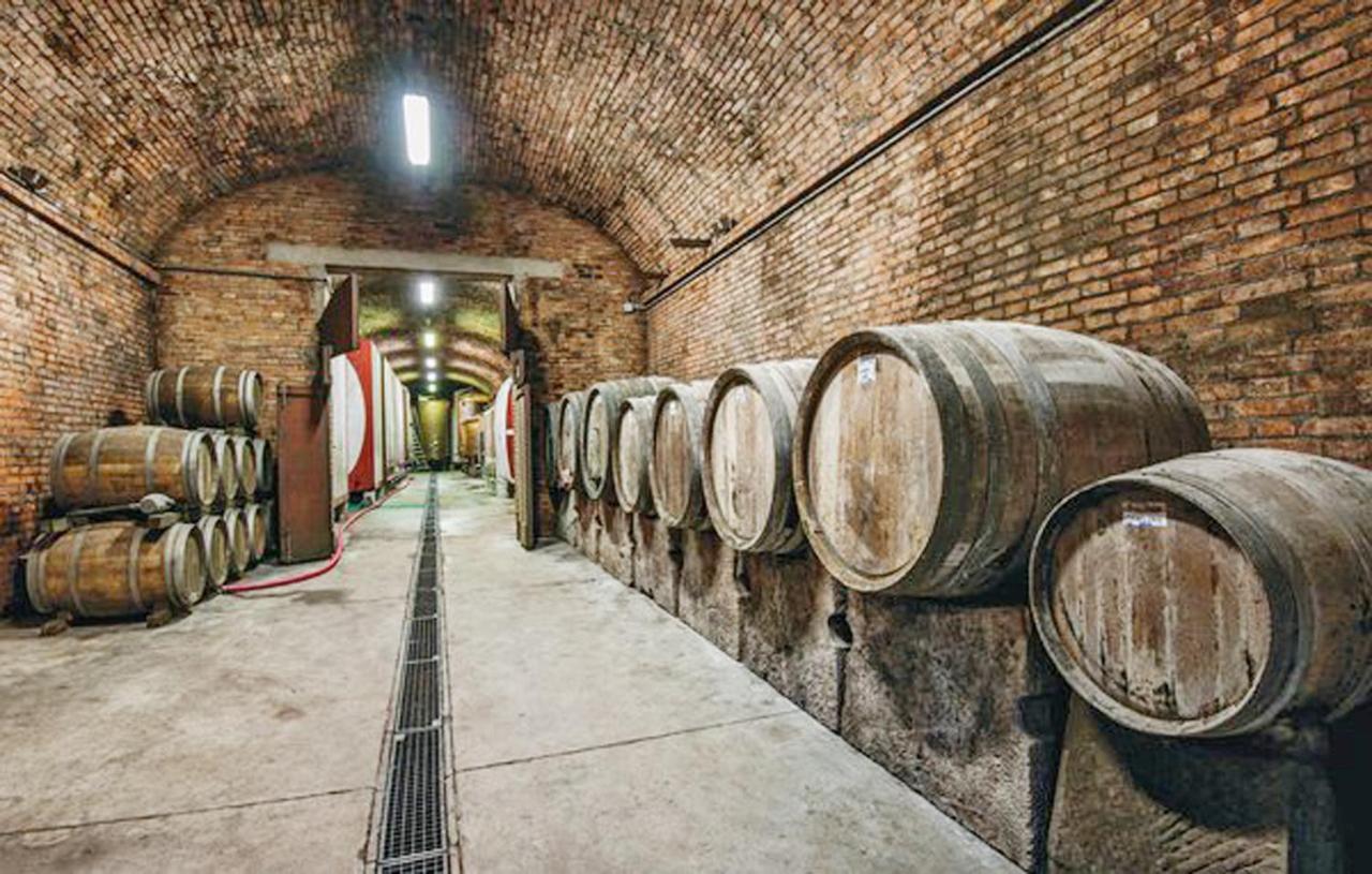 Agriturismo Fattoria Il Piano - Appartamento Aia - San Gimignano Bagian luar foto